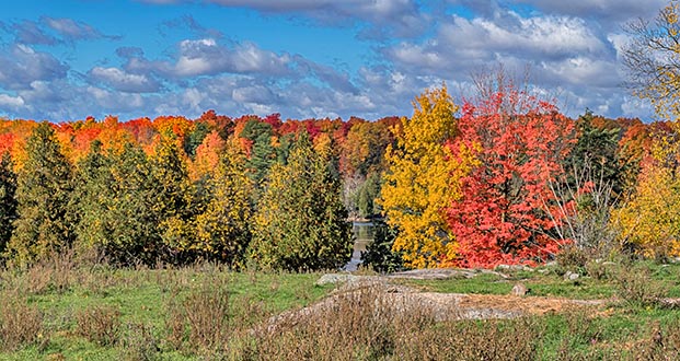 Autumnscape P1140464-8