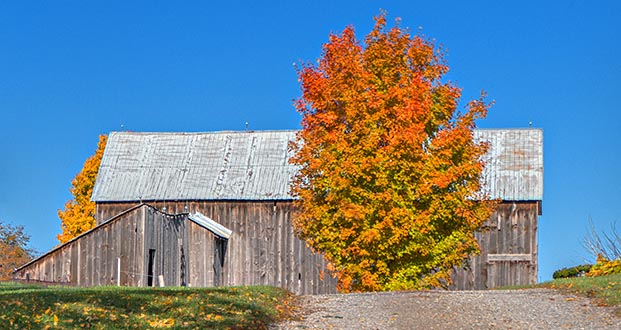 Autumn Barn P1140293-5