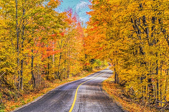Autumn Back Road P1140518-20