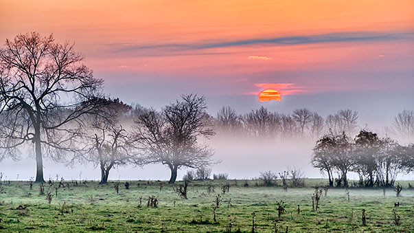 Sunrise Over Ground Fog P1150075-80