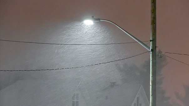 Streetlight In Snowstorm P1150545-7