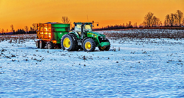 Late Autumn Harvest At Sunrise P1150605-7