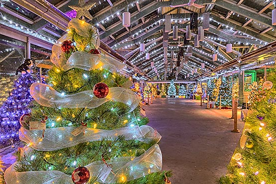 Crystal Palace Christmas Lights P1160211-5