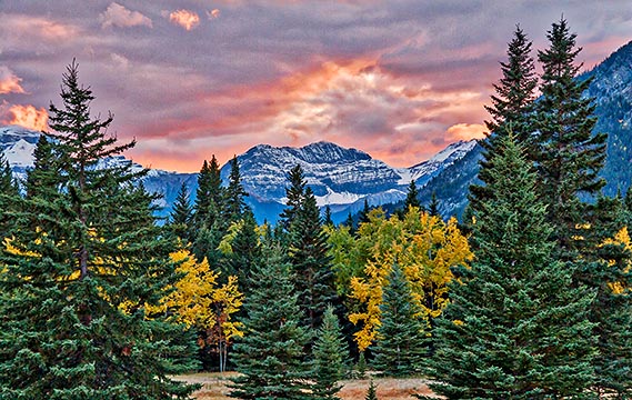 Canadian Rockies at Sunset 17110