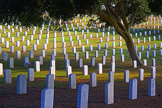 Life Amid Death