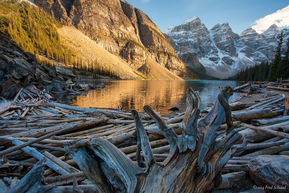 Moraine Lake 