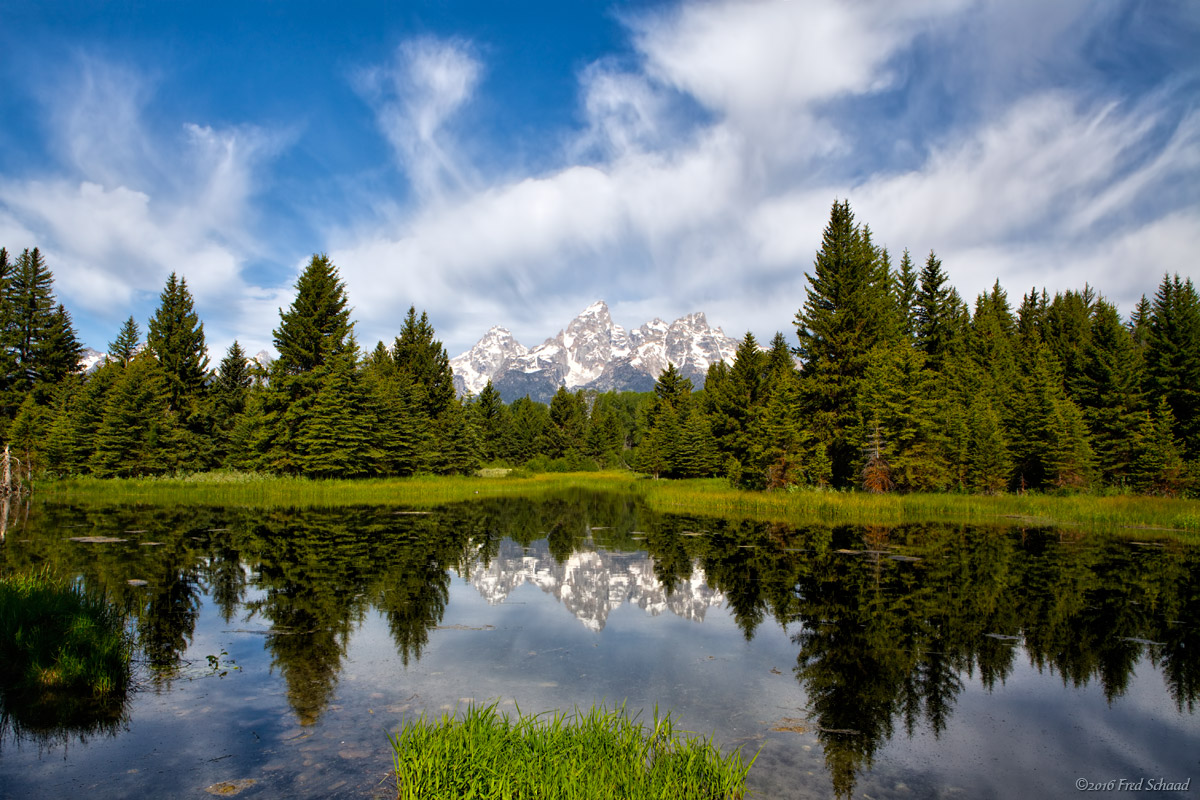 Schwabacher Morning