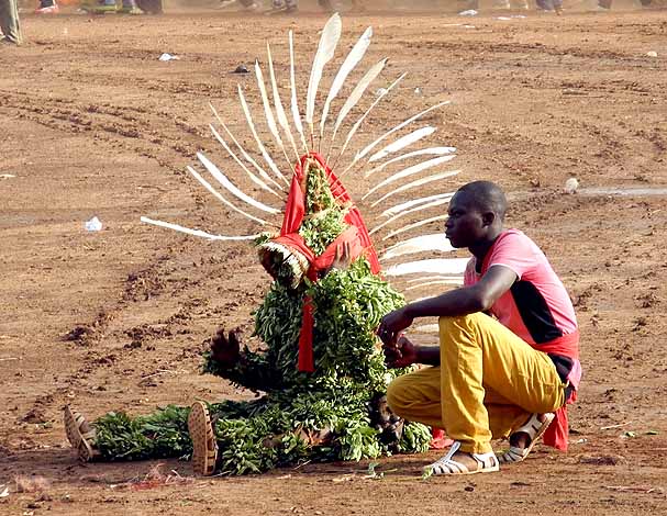  FESTIMA, Festival des Masques , dancer from Bagassi,  Burkina Faso