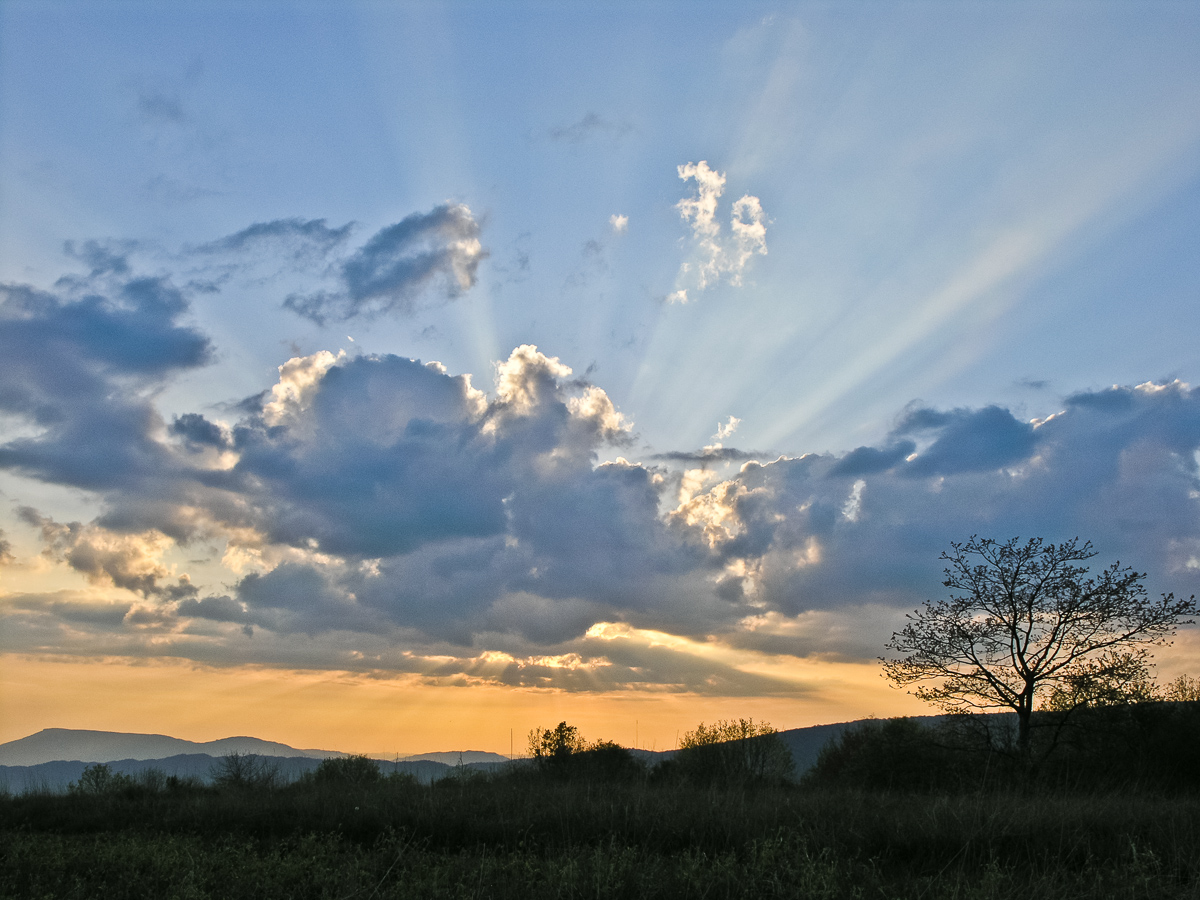 garden mountain sunset