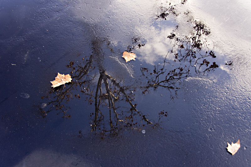 Puddle Reflection