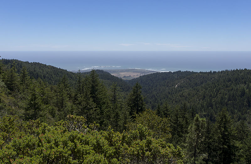 Ano Nuevo State Preserve