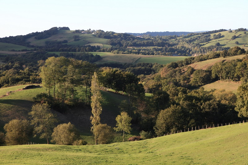 Paysage