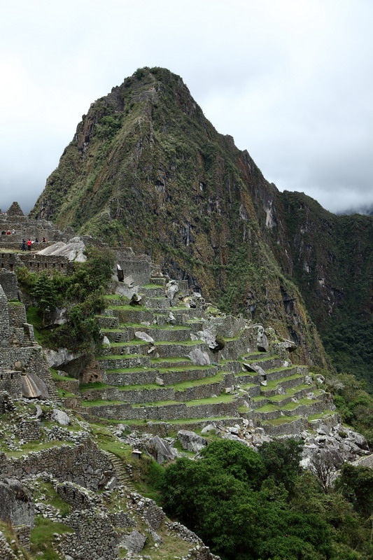 Le Huayna Picchu