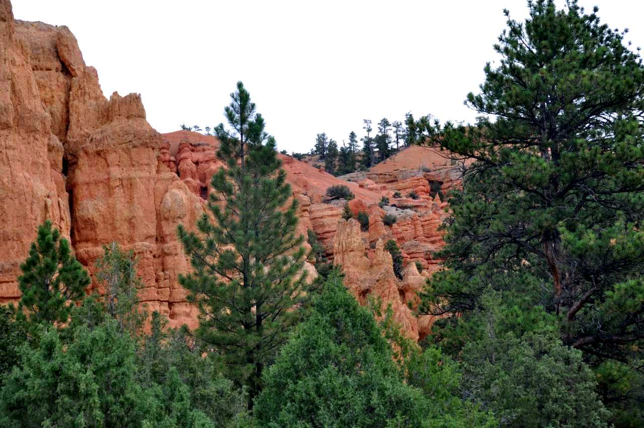 <strong>Red Canyon</strong>