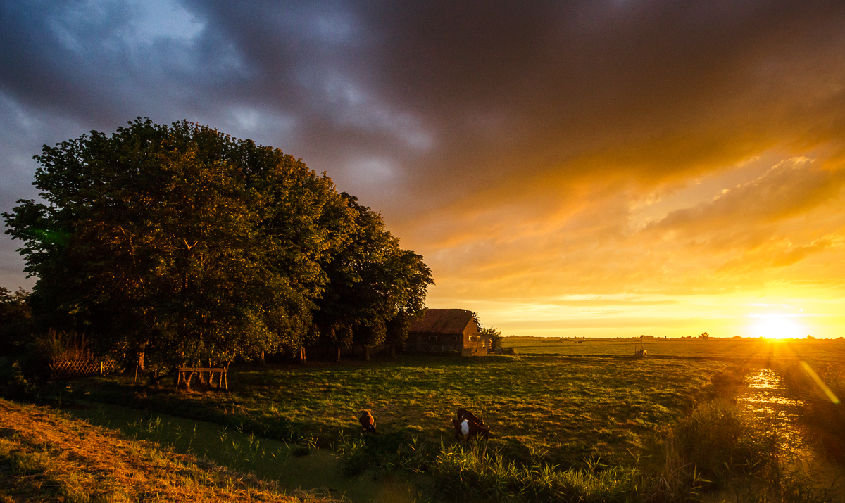 Ilperveld