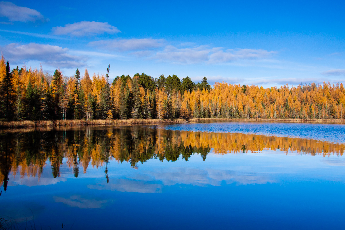 _MG_9138.jpg -fall reflections