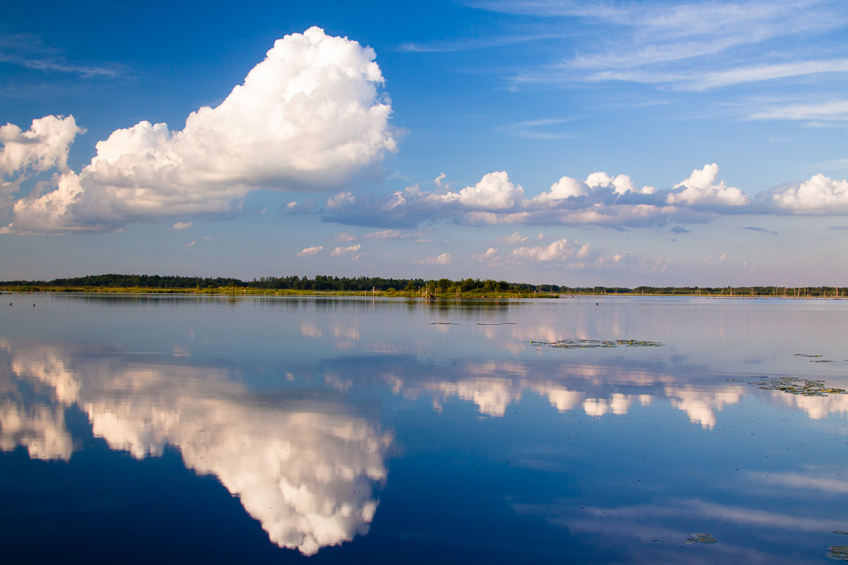 _MG_9756.jpg