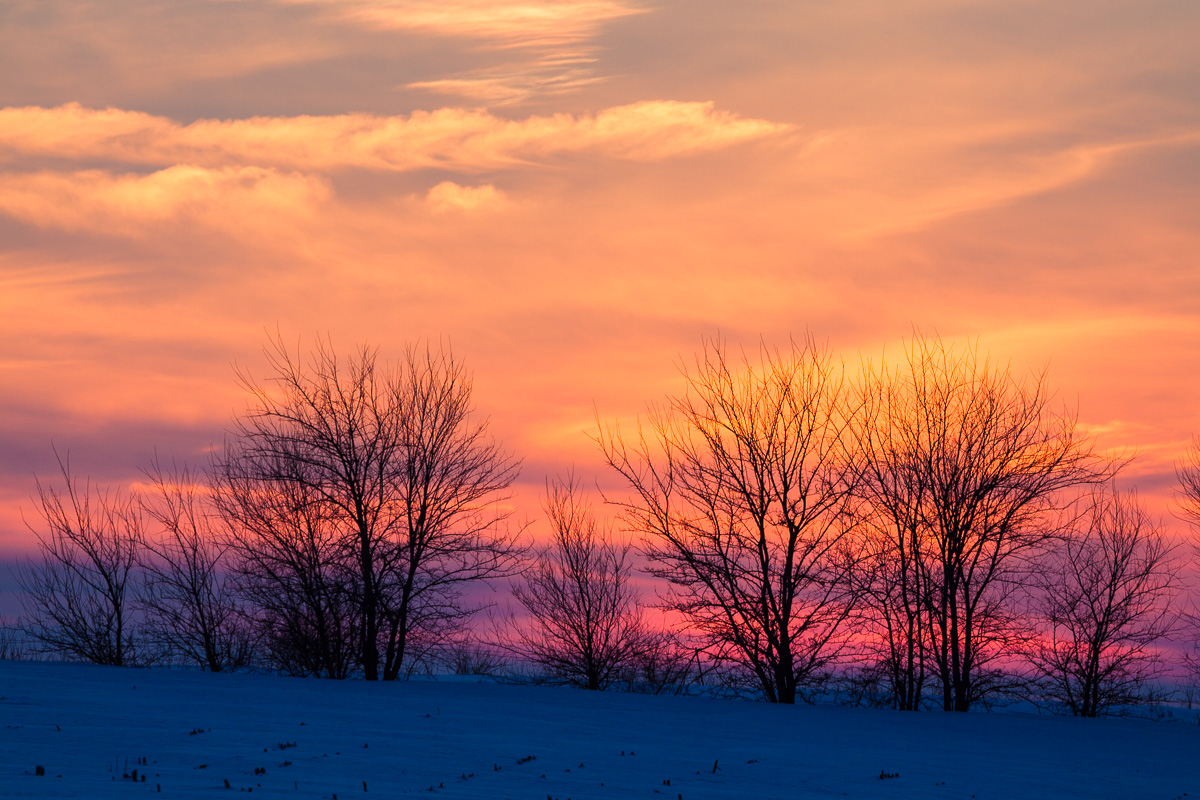 _MG_0815.jpg