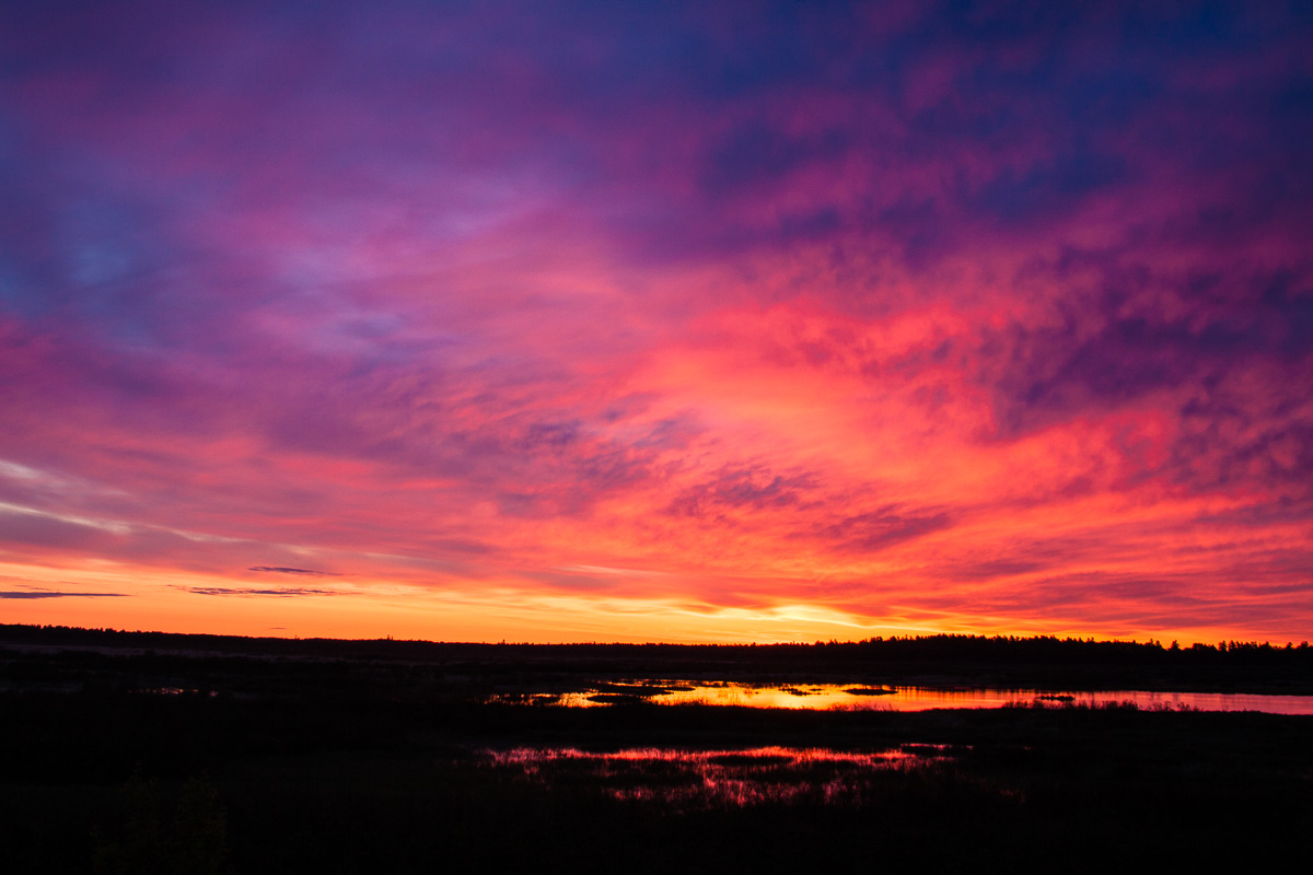 _MG_2977.jpg