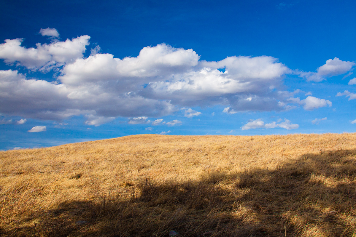 _MG_3942.jpg