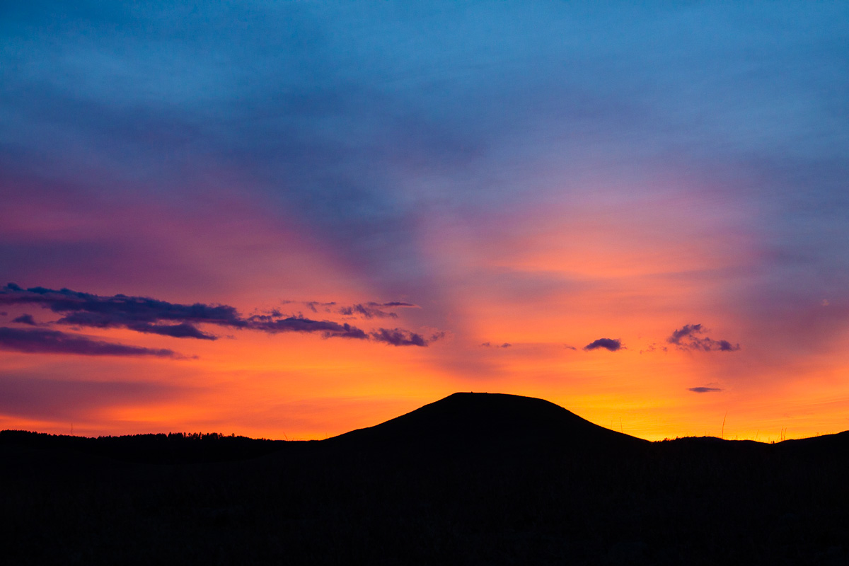 _MG_4025.jpg