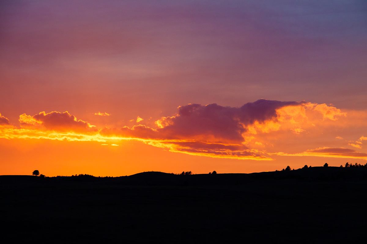 _MG_4008.jpg
