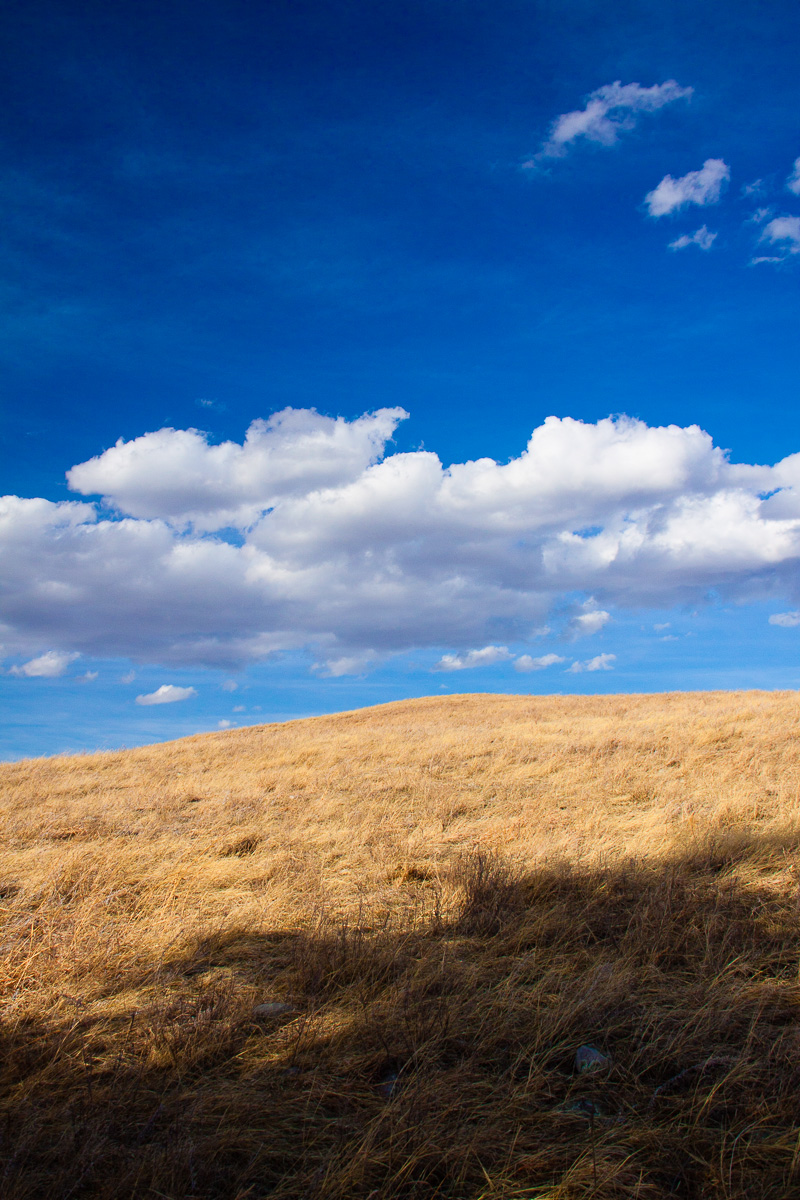 _MG_3948.jpg