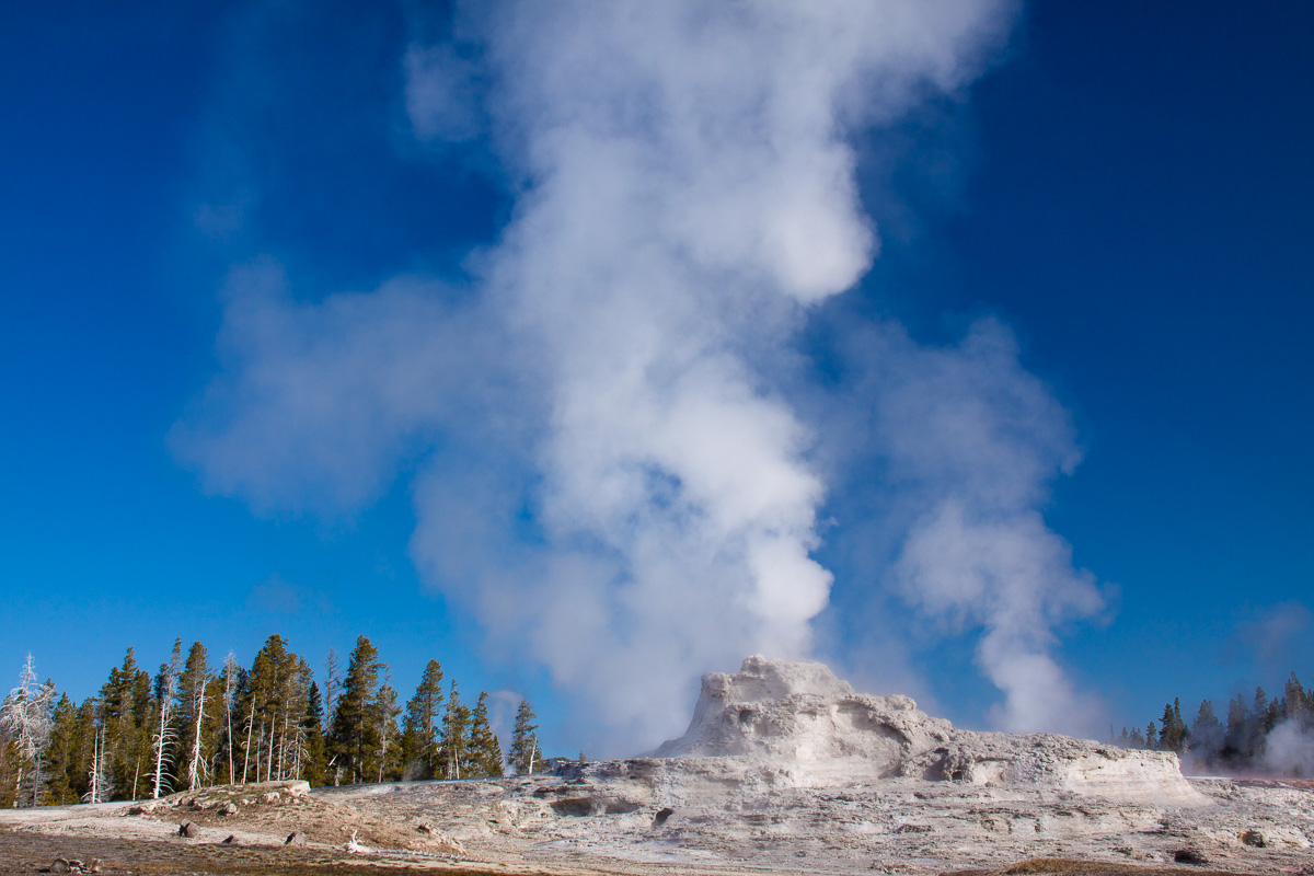 _MG_6104.jpg