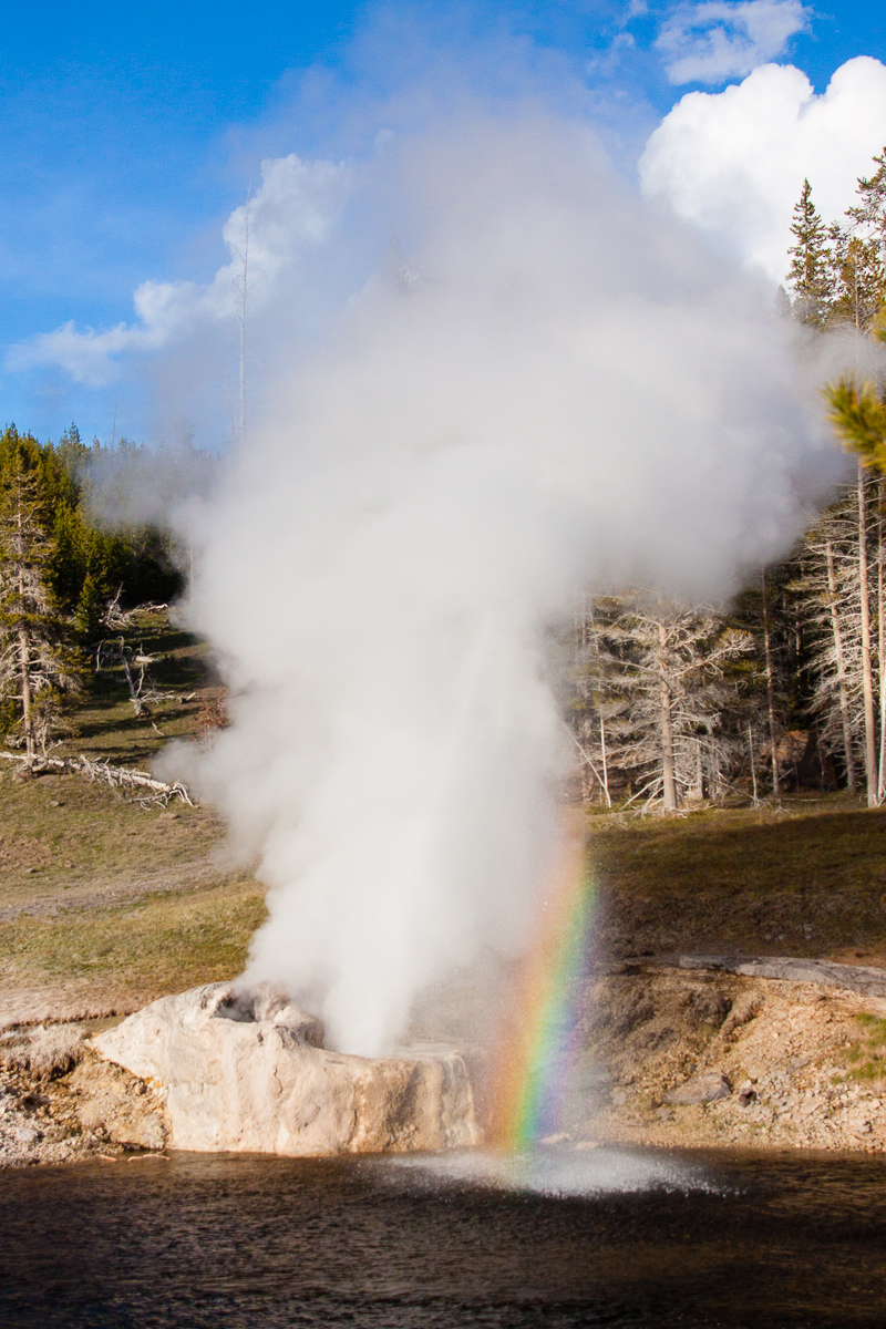 _MG_6209.jpg