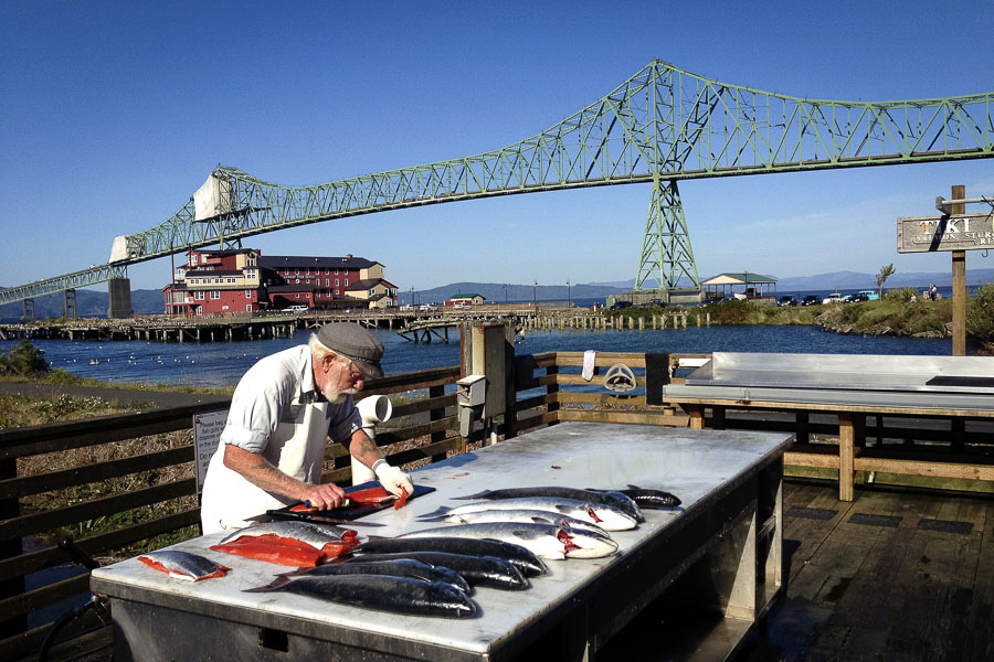 Fileting Columbia River Salmon