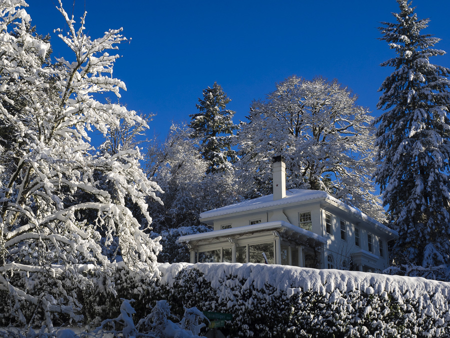 snow day in portland