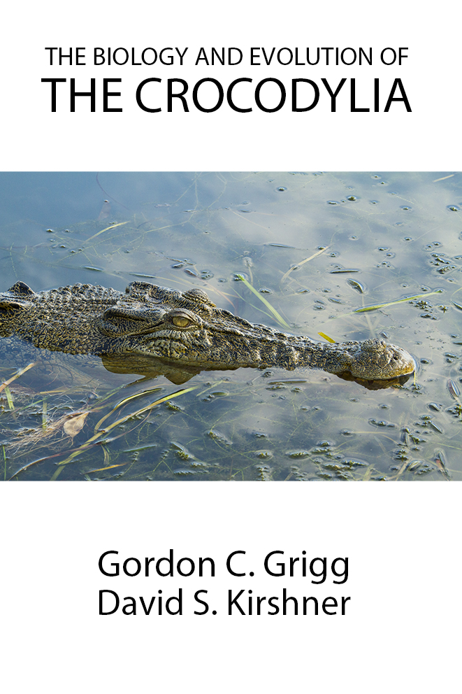 Book cover idea 2.jpg