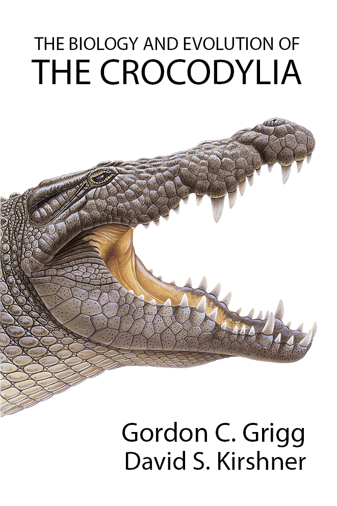 Book cover idea 6.jpg