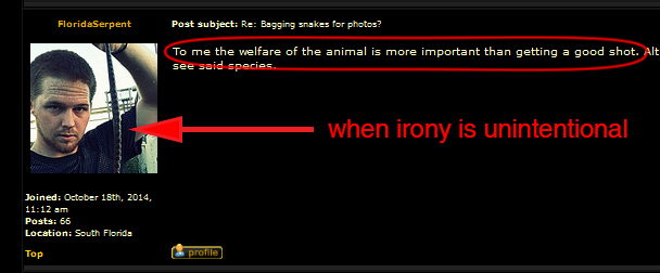 irony 2.jpg