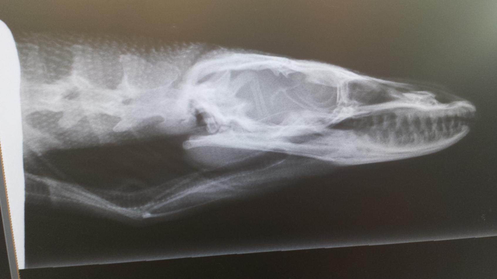 20140929_162825.jpg