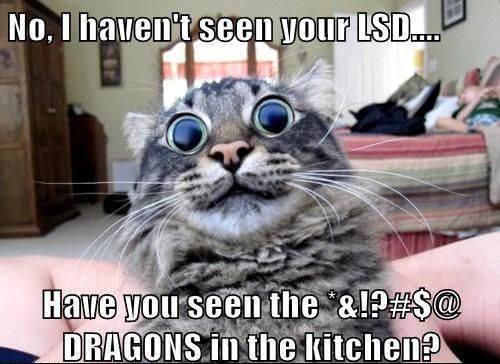 acid_kitty.jpg