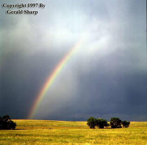 rainbow2.jpg