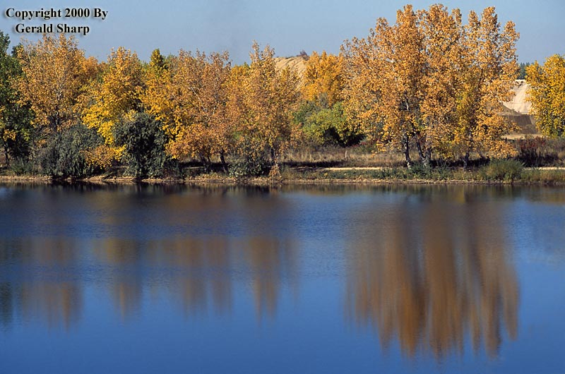 reflections_of_fall.jpg