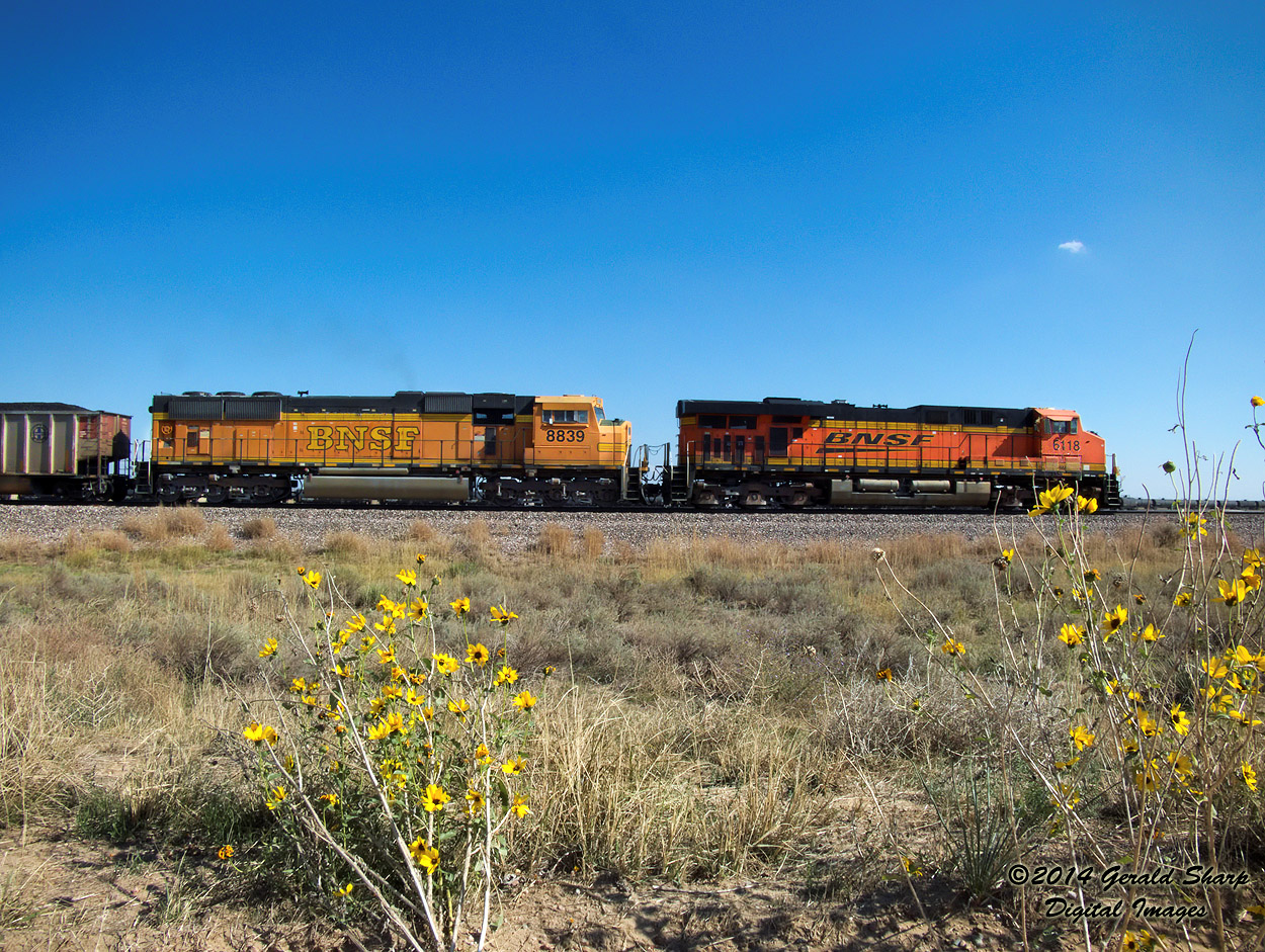 bnsf6118_west_at_tampa_co.jpg