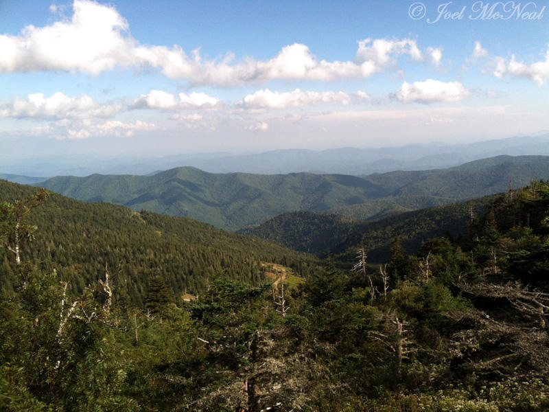 View from Mt. Mitchell, NC