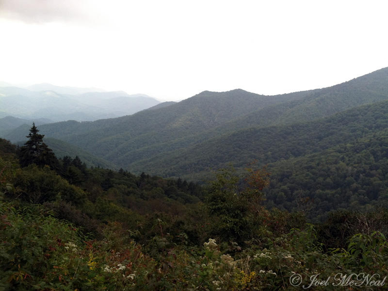 Blue Ridge Parkway view