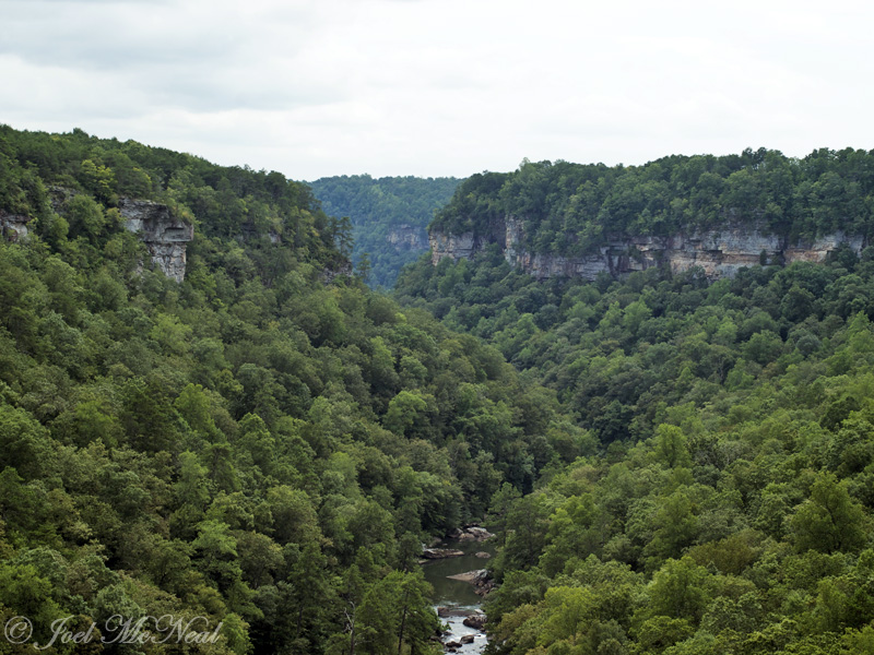 Little River Canyon: DeKalb/Cherokee Co., AL