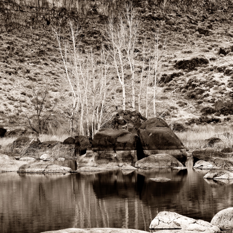 _81N0565_web.jpg