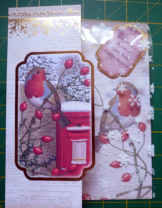 Christmas Robin with acetate