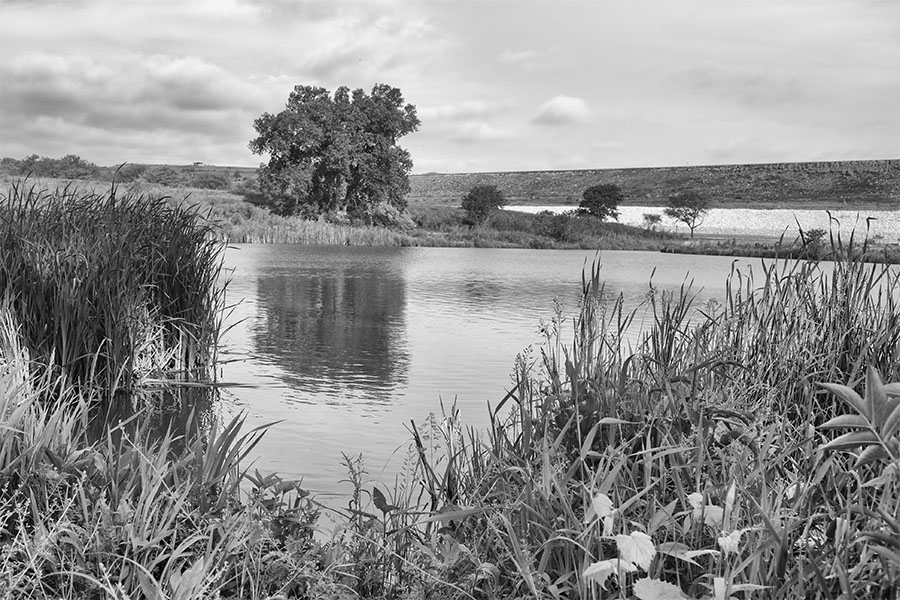 Beaver pond at Tuttle Creek.jpg