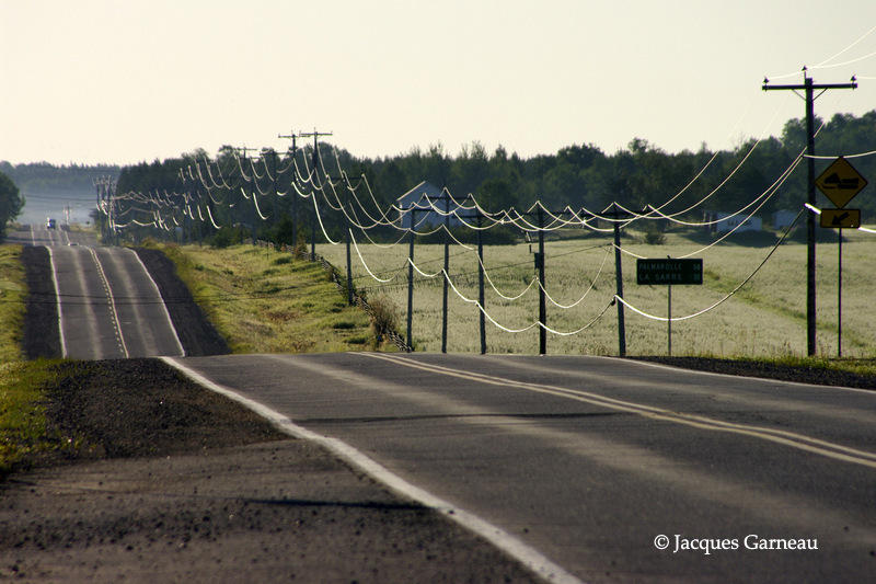 _IGP2944_Petit matin, Gallichan, Abitibi, 2011.JPG