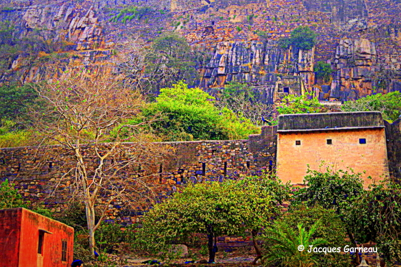 Parc national de Ranthambore, Rajasthan_IMGP7880.JPG