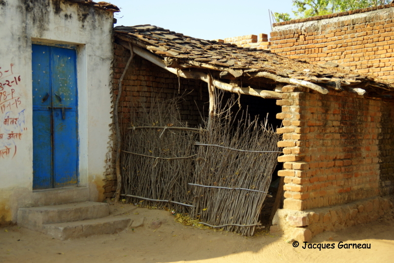 Khajuraho, tat du Madhya Pradesh_IMGP8377.JPG