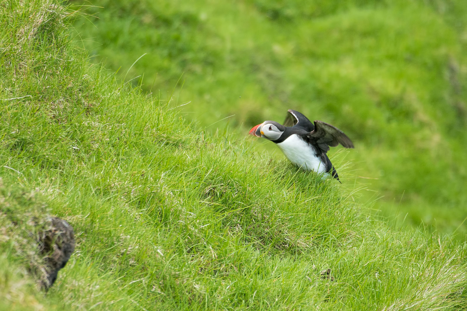 Iceland-0788.jpg