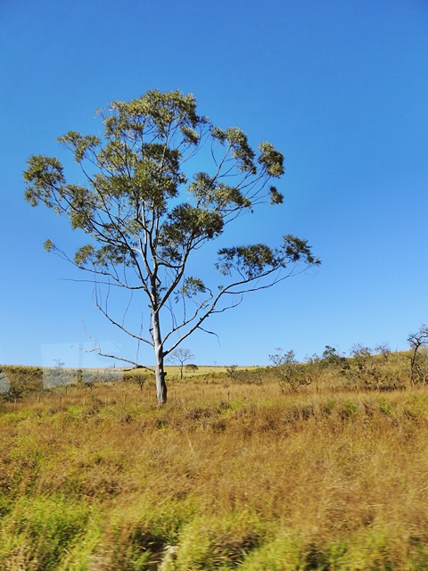 Nikon P510 - Frias 2013 372.jpg